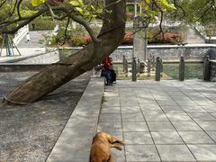 -冶父山国家森林公园