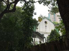 -九龙公园