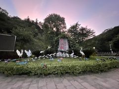 -广州白江湖森林公园