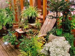 -时光花园(白鹭洲店)