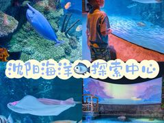 -沈阳海洋探索中心