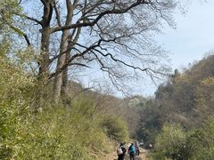 -会稽山峡洞漂流-上青古道
