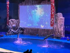 -华夏文旅海洋公园