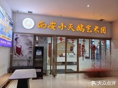 -西安小天鹅艺术团(金花路校区)