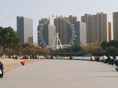 -暨阳湖生态园