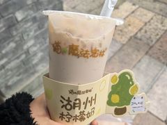 -猫的魔法密林(衣裳街店)