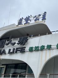 -Doris一站式游轮婚礼船东直营店(外滩店)