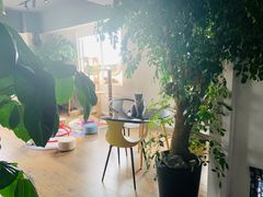 -东方名猫馆·英短金渐层布偶猫舍(环线广场1号楼店)