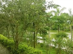 -揭东万竹园旅游景区