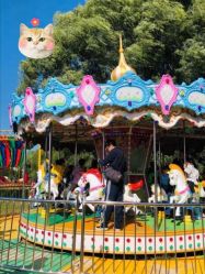 -大美儿童世界(奥林匹克水上公园店)