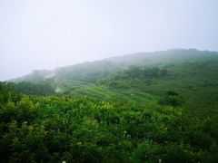 -阳台山自然风景区