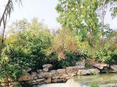 -白鹭湾湿地公园