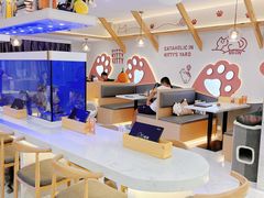 大堂-喵园·猫主题咖啡厅·撸猫·猫咖(国贸店)