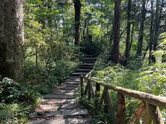 -龙苍沟森林公园