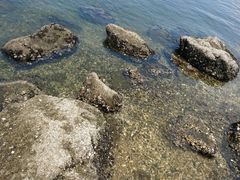 -台场海滨公园船码头