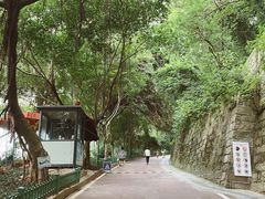 -金鸡山公园