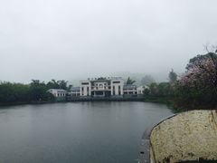 -大屏嶂森林公园