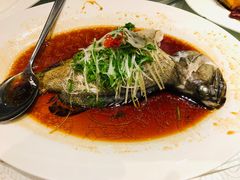 -皇朝尊会(龙之梦大酒店)