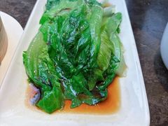 -金鼎轩(方庄天坛店)