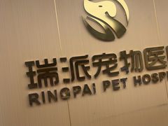 -瑞派康怡24h宠物医院·犬猫医疗中心·微创绝育(瑞景分院)