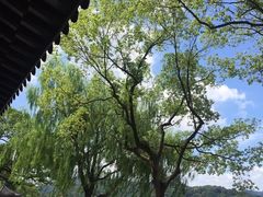 -杭州西湖柳莺里酒店·闻莺厅