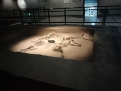 -洛阳周王城天子驾六博物馆