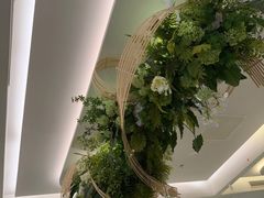 -Aqua Oasis 水天堂(太湖中心mall店)