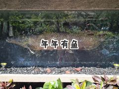 -青青世界