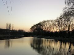 -大兴滨河森林公园