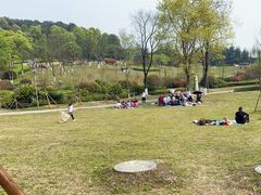 -铁山坪森林公园