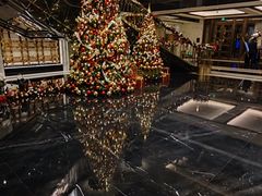 -上海苏宁宝丽嘉酒店·Cafe Bellagio西餐厅