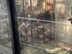 -昆明动物园