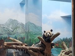 -武汉动物园