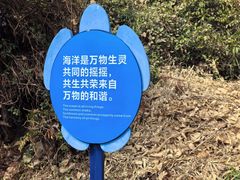 -广东惠东海龟国家级自然保护区
