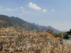 -广州市流溪河国家森林公园