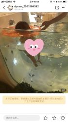 -广州安和泰医学月子会所