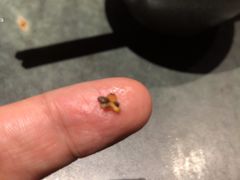 -兰溪小馆(首经贸店)