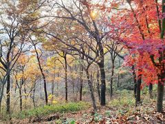 -南京老山国家森林公园