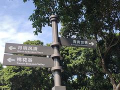 -青青世界