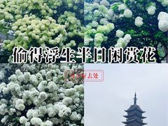 -常熟方塔园
