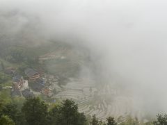 -紫鹊界梯田景区