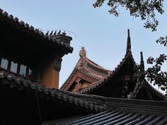 -灵谷景区