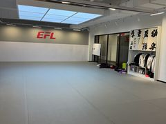-EFL巴西柔术·综合格斗·泰拳·少儿体能训练(虹桥德必馆)