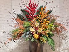 -鹿园 MOOSE(长宁店)