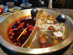 菌汤鸳鸯锅-小龙坎火锅(总店)