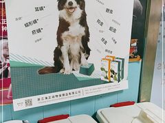 -邦泰·异宠动物医院