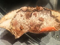 -鲁家大院(工农路店)