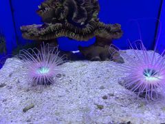 -青岛海底世界-水族馆