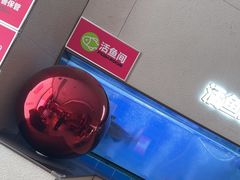 -老板恋上鱼(恒隆广场店)