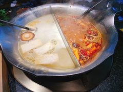 台式麻辣花胶鸡鸳鸯锅-湊湊火锅·茶憩(世博大道店)